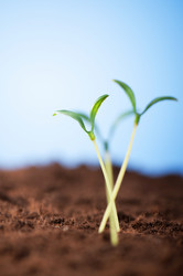 Similar image 599895