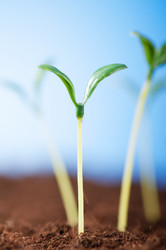 Similar image 599896