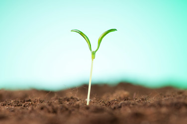 Similar image 599902