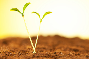 Similar image 599905