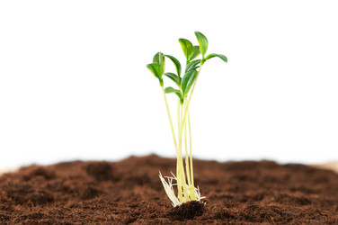 Similar image 599906