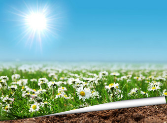 Similar image 600008