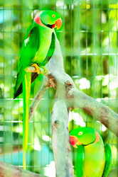 Similar image 600065