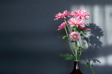 Similar image 600105