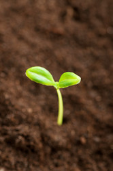 Similar image 600387