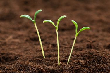 Similar image 600388