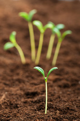 Similar image 600390