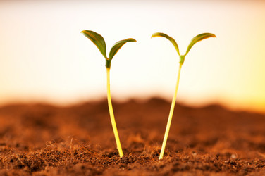 Similar image 600391