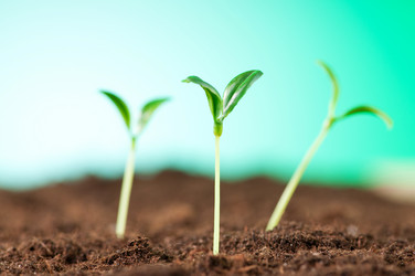 Similar image 600392