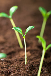 Similar image 600393