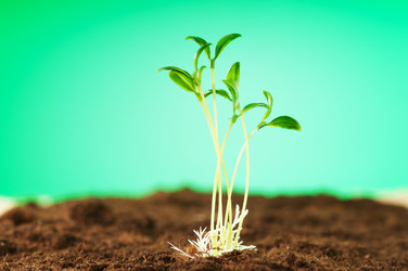 Similar image 600398