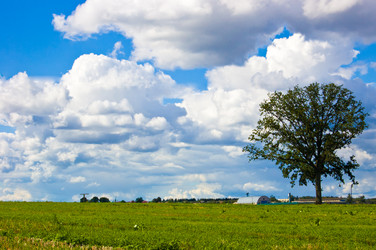 Similar image 600449