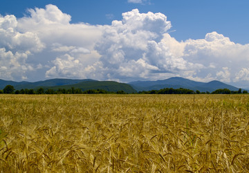 Similar image 600458