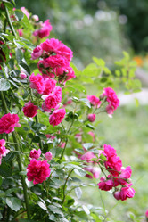 Similar image 600670