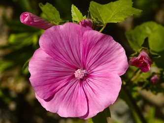 Similar image 600695