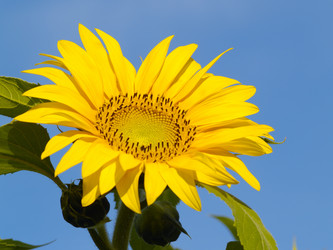 Similar image 600699