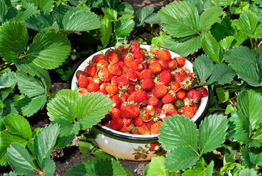 Similar image 600869