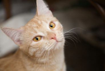 Similar image 600894