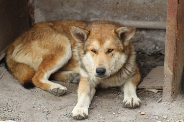 Similar image 600941