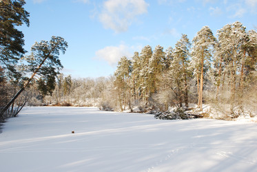 Similar image 601116