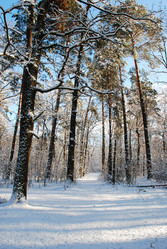 Similar image 601117