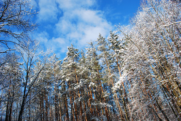 Similar image 601353