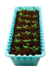 Similar image 601400