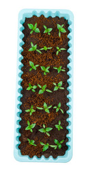 Similar image 601401