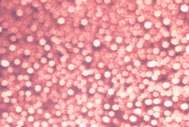 Similar image 601426