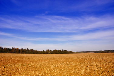 Similar image 601554