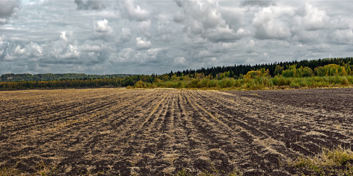 Similar image 601736