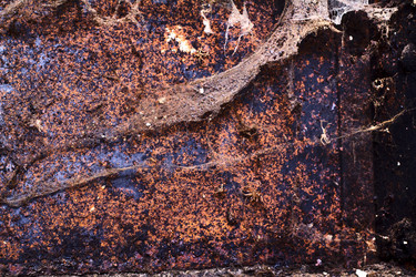 Similar image 601763