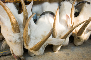 Similar image 601918