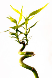 Similar image 601925