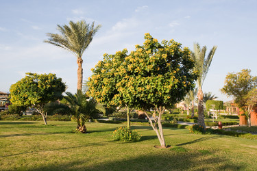 Similar image 601992