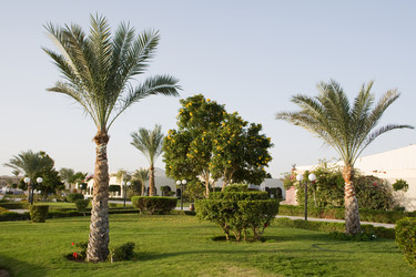 Similar image 602003