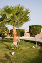 Similar image 602189