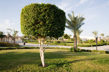 Similar image 602241