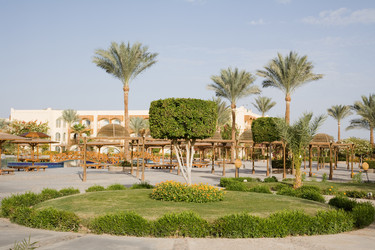 Similar image 602256