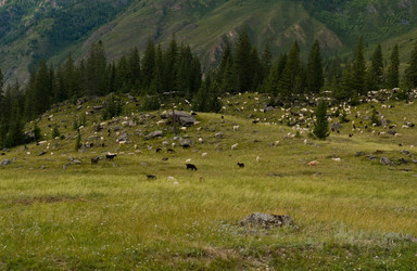 Similar image 602263