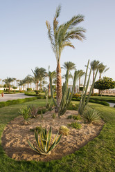 Similar image 602310