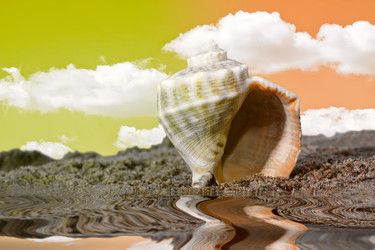 Similar image 602432