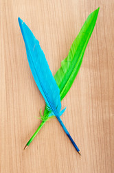 Similar image 602444