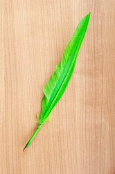 Similar image 602514