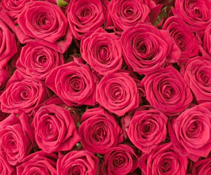 Similar image 602535