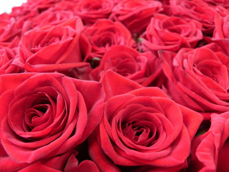 Similar image 602537