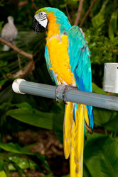 Similar image 602560