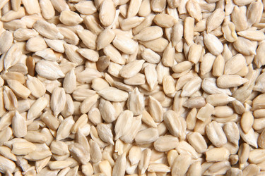 Similar image 602567