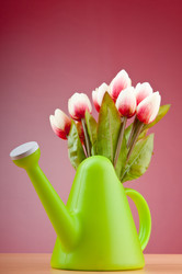 Similar image 602681