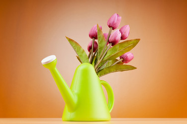 Similar image 602682